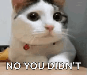 Oh No You Didn't Cat Shaking Head GIF