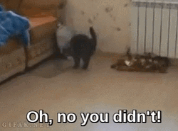Oh No You Didn't Kinkalow GIF