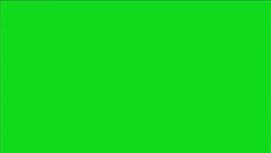 Oh No You Didn't Logo With Green Screen  GIF