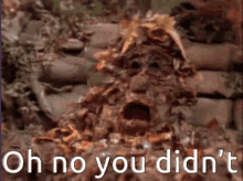 Oh No You Didn't Scary Monster Reaction GIF