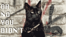 Oh No You Didn't Serious Black Cat GIF