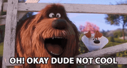 Oh Okay Dude Not Cool Secret Life Of Pets GIF