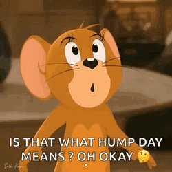 Oh Okay Jerry The Mouse GIF