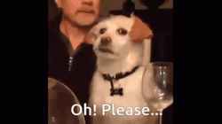 Oh Please Annoyed Dog Eye Roll GIF