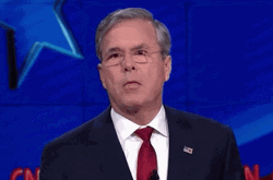 Oh Really Jeb Bush Unimpressed GIF