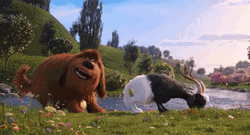 Oh That Butt Sniff GIF