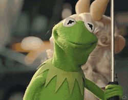 Oh Well Kermit Muppet GIF