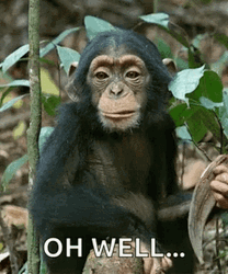 Oh Well Monkey Eating GIF