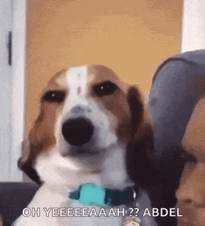 Oh Yeah Oh Hell Yeah GIF