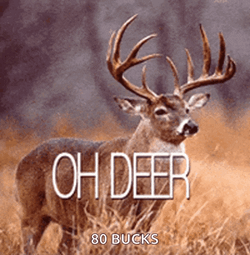 Ohdeer Ohdear GIF