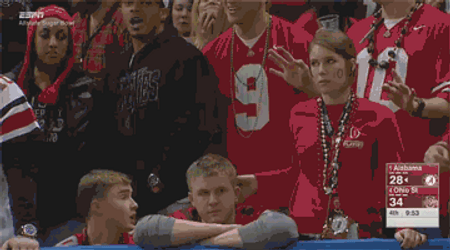 Ohio Meme Team Fans GIF