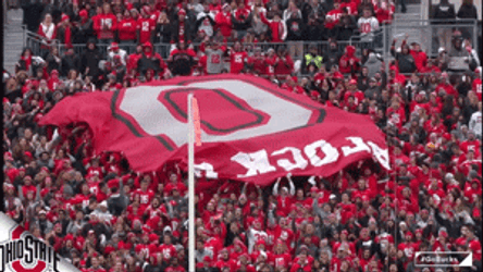 Ohio State Athletics Buckeyes GIF