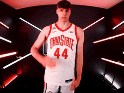 Ohio State Buckeyes Funny Salute GIF
