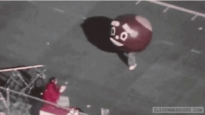 Ohio State Buckeyes Go Bucks GIF