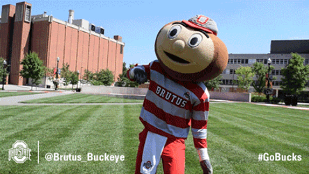Ohio State Mascot Brutus Buckeye Turning Around GIF