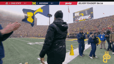 Ohio State Michigan Football Game GIF