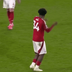 Oia Aina Nottingham Forest GIF