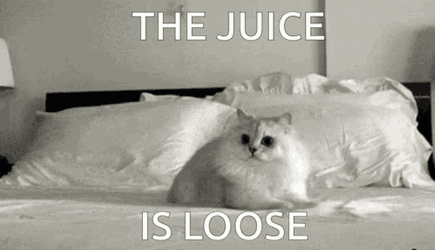 Oj Simpson The Juice GIF