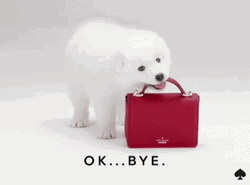 Ok Bye Bag Samoyed Dog GIF
