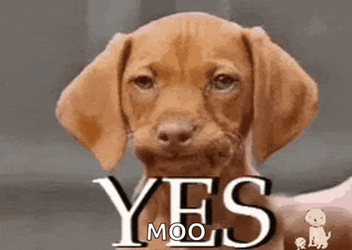 Ok Oh Yes Yes O Yeah Yes No Yes Go On Yea Yes GIF