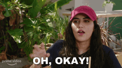 Ok Then Shiva Pishdad GIF