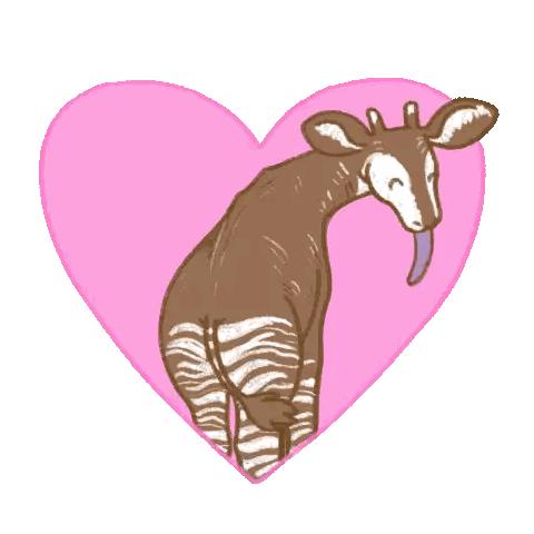 Okapi Sticking Out Tongue In Pink Heart Sticker