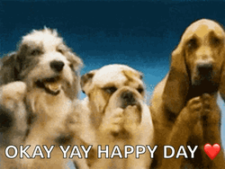 Okay Happy Yay Dog Day GIF