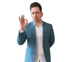 Okay Sign In Italian Hand GIF