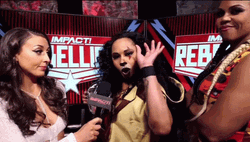 Okurrr GIF