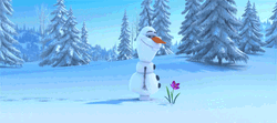 Olaf And A Flower In Snow GIF