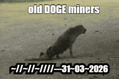 Old Doge Miners GIF
