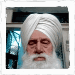 Old Gray Beard Taliban  Serious GIF