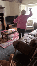 Old Lady Dance Winner Winner Chicken Dinner GIF