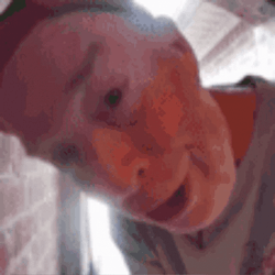 Old Man Saying Open The Noor Meme GIF