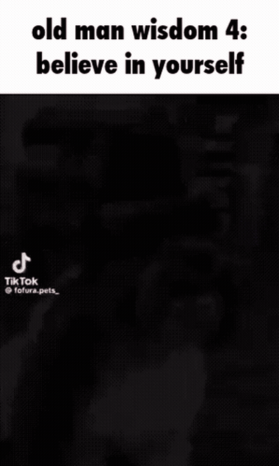Old Man Wisdom 4 Believe In Yourself Black White Dog GIF