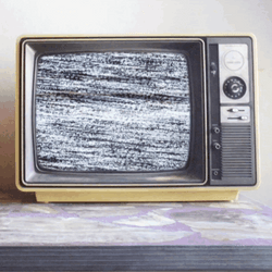 Old Tv Static Dolphin Screen GIF