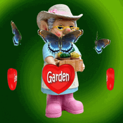 Old Woman Gardening With Butterflies