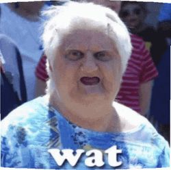 Old Woman Toothless Meme GIF