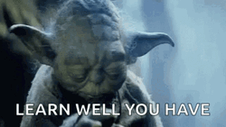 Old Yoda On Learning Well GIF