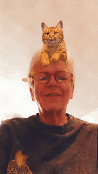 Older Woman With Cat On Head And Star Shirt GIF