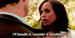 Olivia Pope Ill Handle It GIF