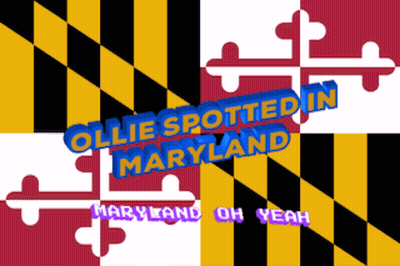 Ollie Spotted In Maryland Poster GIF