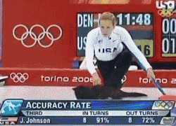 Olympic Cat Curling GIF