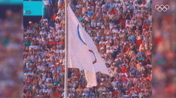 Olympic Flag Rings Up High GIF