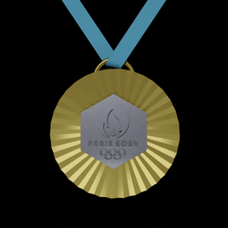 Olympic Rings Deserve The Gold GIF