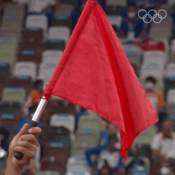 Olympics Red Flag GIF