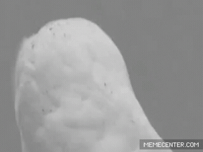 Omg Just When I Thought Ive Seen It All GIF