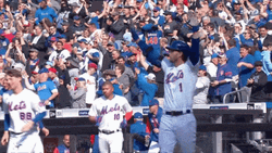 Omg Mets Jeff McNeil Happy Dance GIF