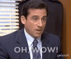Omg Michael Scott The Office Meme GIF