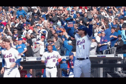 Omg New York Mets Jeff McNeil Dancing GIF